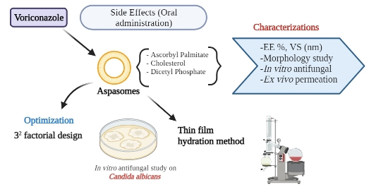 Graphical Abstract